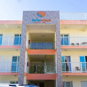 book here